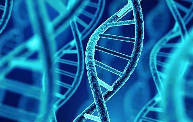 Phát hiện người đàn ông có ADN lâu đời nhất ở Bắc Mỹ