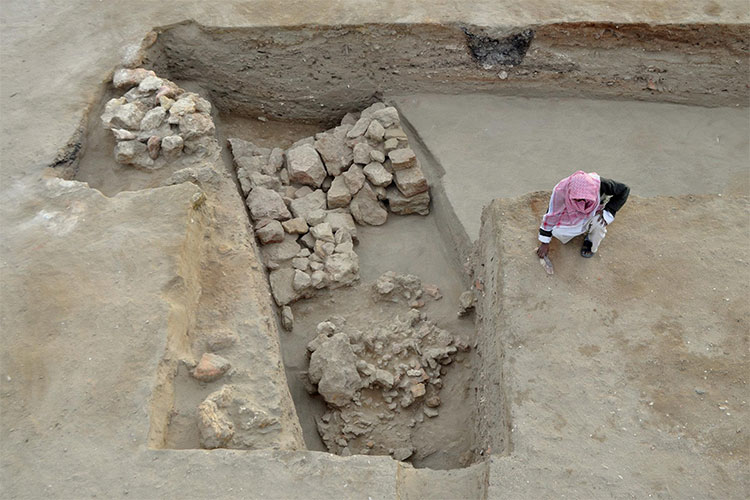 Phát hiện pháo đài Ai Cập 2.300 tuổi bảo vệ cảng trung chuyển voi chiến thời cổ đại
