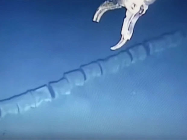 Phát hiện rồng dưới đáy biển, các chuyên gia vẫn chưa thể tiếp cận vì lý do bất ngờ