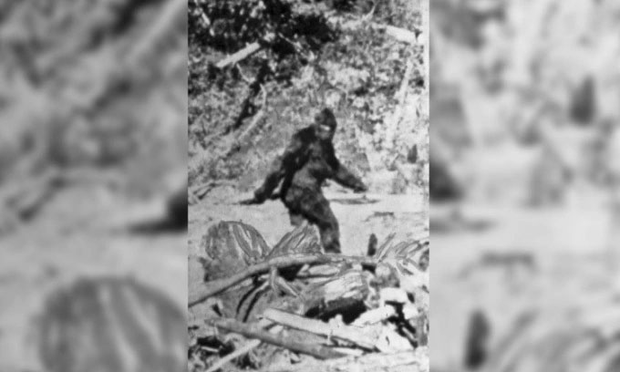 Phát hiện sinh vật mình đầy lông lá ở sườn núi, nghi “quái vật” mất tích gần 150 năm ở Mỹ