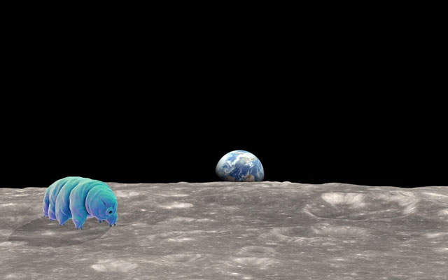 Phát hiện sốc về quái vật bất tử có thể đang sống trên Mặt trăng