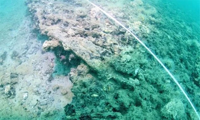 Phát hiện tàn tích xưởng thuyền 8.000 năm chìm dưới đáy biển