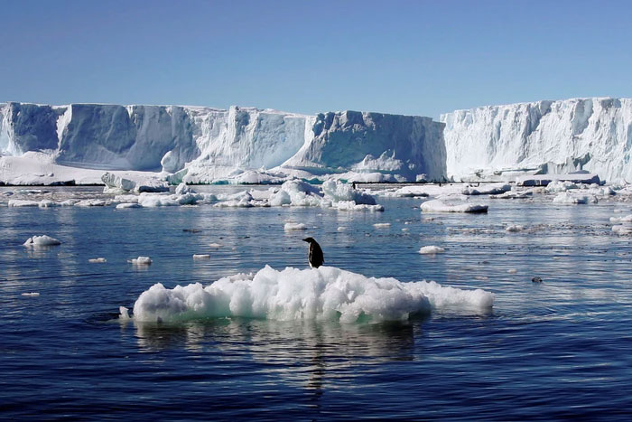 Phát hiện thế giới khác ẩn sâu hàng nghìn mét dưới lớp băng ở Nam Cực
