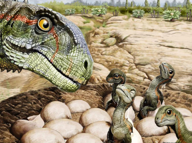 Phát hiện tổ khủng long có hơn 100 trứng và 80 bộ xương