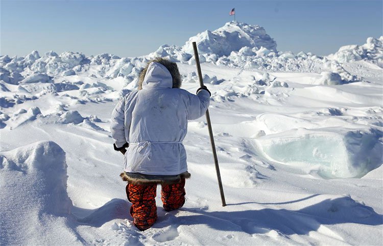 Phát hiện vi khuẩn sống dưới băng Bắc Cực 50.000 năm còn nguyên vẹn