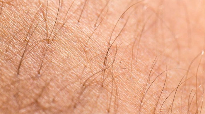 Phát triển thành công da từ tế bào gốc có thể được cấy ghép và mọc lông