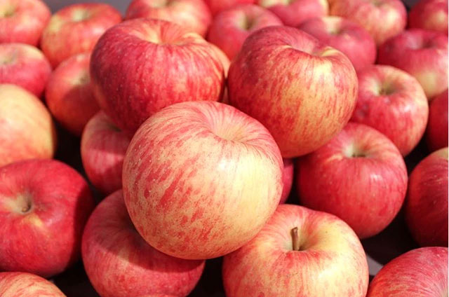 Phụ nữ mỗi sáng đều ăn 1 quả táo khi bụng đói, 7 ngày sau cơ thể sẽ cảm nhận được thay đổi rõ rệt