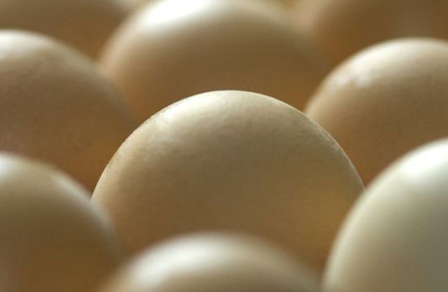 Phương pháp mới khiến gà đẻ trứng chứa thành phần chống ung thư