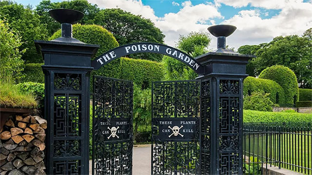 Poison Garden - Khu vườn chết chóc nhất thế giới