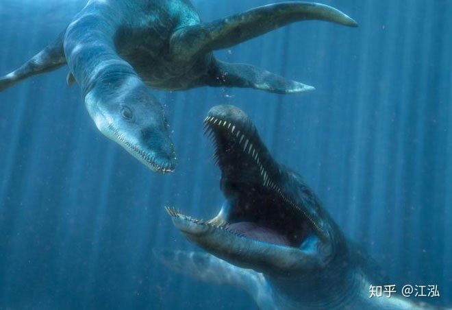 Predator X: Quái vật biển cả đáng sợ nhất kỷ Jura