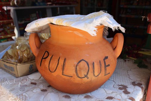 Pulque - Thứ rượu dành cho đàn ông đích thực