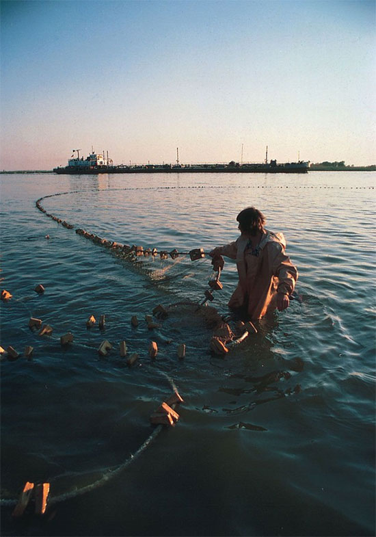 Quái ngư ở hồ nước sâu 1.642m của Nga: Bên trong có hạt ngọc cực đắt, chi bội tiền chưa chắc mua được