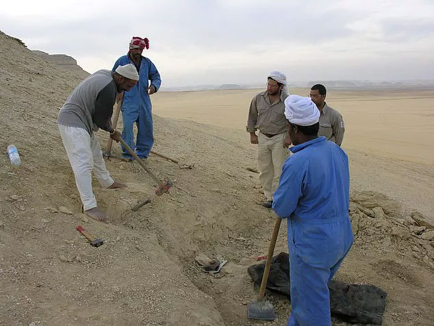 Quái vật biến hình 35 triệu tuổi lộ diện giữa sa mạc Ai Cập