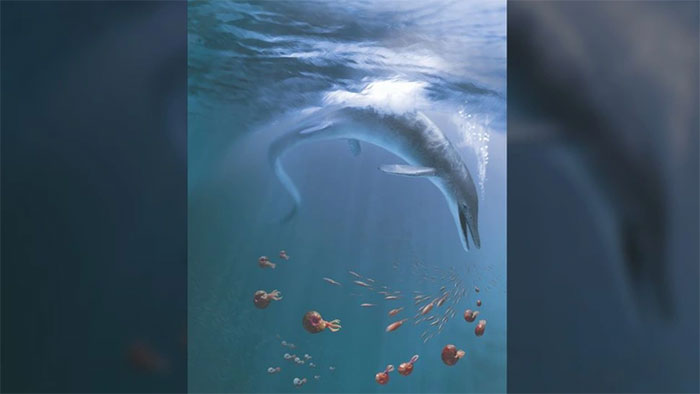 Quái vật biển khổng lồ dài 17 mét tiết lộ bí mật về tiến hóa thần kỳ
