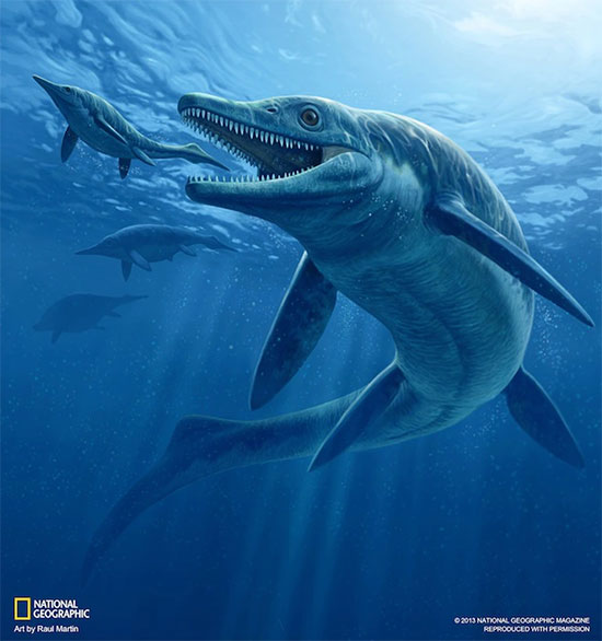 Quái vật biển khổng lồ dài 17 mét tiết lộ bí mật về tiến hóa thần kỳ