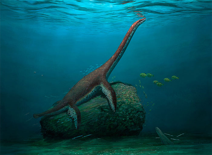 “Quái vật hồ Loch Ness” hoàn toàn mới lộ diện ở Đức