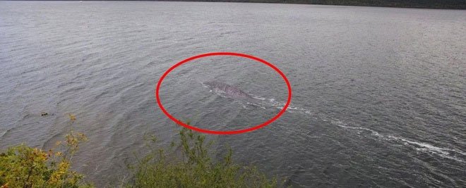 Quái vật hồ Loch Ness quay trở lại?