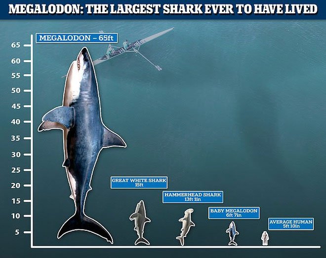 Quái vật tiền sử dài gần 20 mét: Nỗi khiếp sợ cho mọi giống loài dưới nước