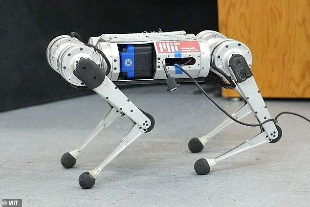 Robot báo Cheetah có thể học chạy để vượt qua giới hạn tốc độ của bản thân