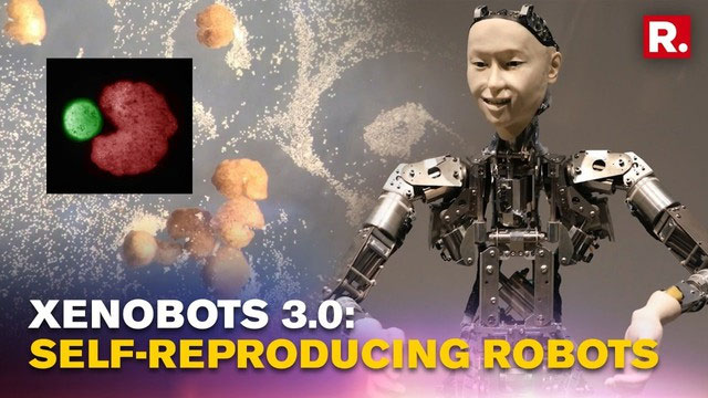 Robot sống tự sinh sản: Bước đột phá khoa học và những hệ lụy tiềm ẩn!