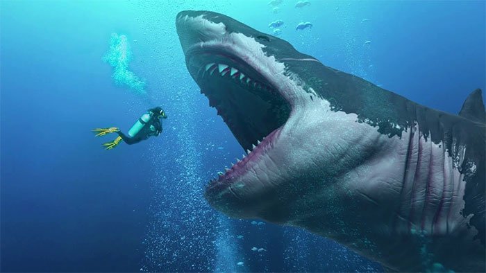 Rợn người cách để siêu cá mập Megalodon có thể dài tới hơn 18 mét