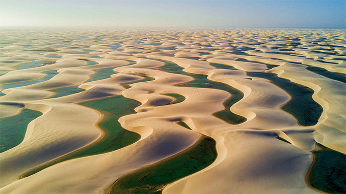 Sa mạc dị nhất thế giới: Cồn cát vàng thì chẳng thấy đâu mà chỉ thấy hồ nước với tôm cá