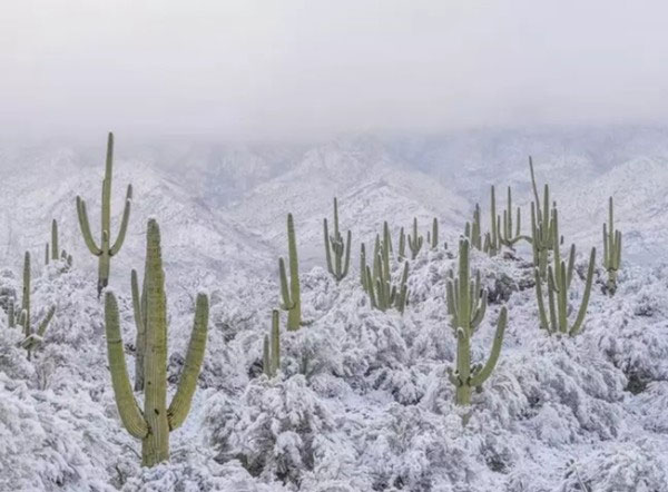 Sa mạc nóng nhất Bắc Mỹ có tuyết rơi dày tới 10cm, điều gì đang xảy ra?