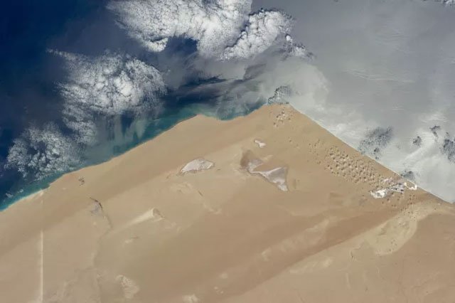 Sa mạc Sahara có thể trở lại là vùng đất màu mỡ không?