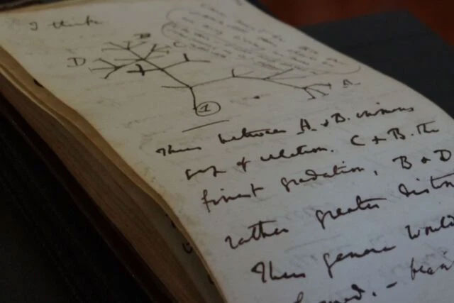 Sau 20 năm lưu lạc, sổ tay của Charles Darwin đã được người bí ẩn trả lại Thư viện Đại học Cambridge