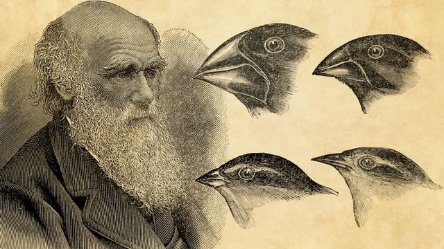 Sau 20 năm lưu lạc, sổ tay của Charles Darwin đã được người bí ẩn trả lại Thư viện Đại học Cambridge