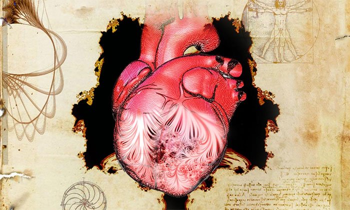 Sau 500 năm, các nhà khoa học tìm ra bí ẩn đằng sau hình ảnh trái tim người của Leonardo da Vinci