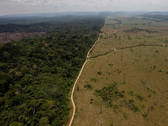 Sau khi hết Covid-19, rừng Amazon sẽ là nguồn lây nhiễm virus corona kế tiếp và lỗi hoàn toàn nằm ở con người