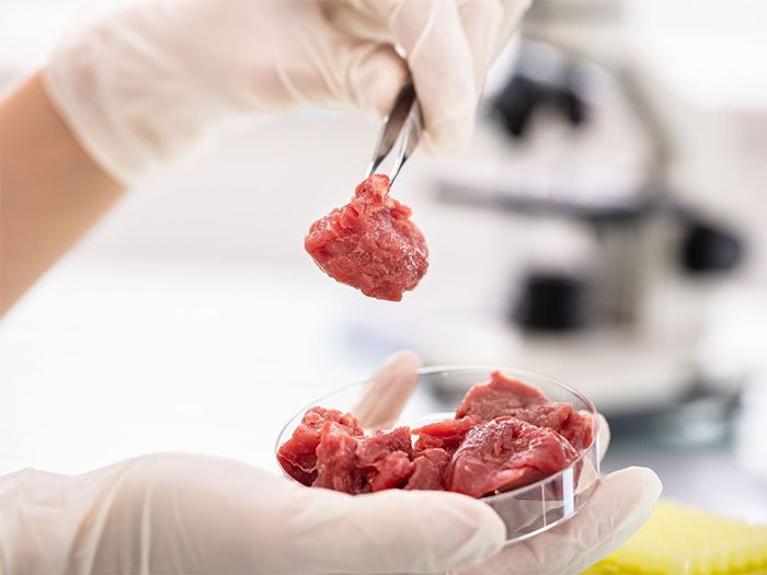 Singapore chính thức cấp phép bán thịt nuôi cấy trong phòng thí nghiệm