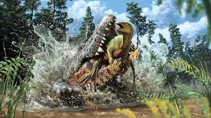 Sinh sống cùng thời với khủng long, tại sao cá sấu không tuyệt chủng?