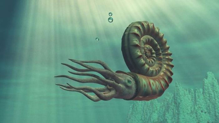 Sinh vật biển khổng lồ đã xuất hiện ở Đại Tây Dương 80 triệu năm trước