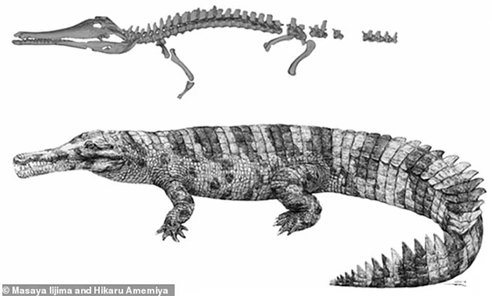 Sinh vật giống cá sấu dài gần 6 mét từng bị chặt đầu dã man đến tuyệt chủng