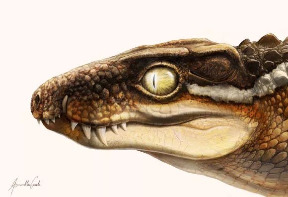 Sinh vật kinh dị 71 triệu tuổi khiến siêu khủng long phải khiếp sợ