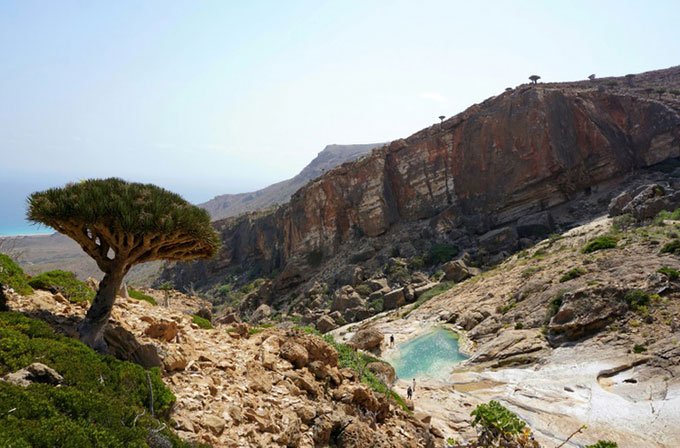 Socotra - Đảo long huyết độc nhất của Yemen bị đe dọa