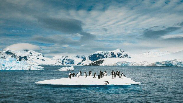 Sông băng Doomsday ở Nam Cực tan nhanh, lời cảnh báo biến đổi khí hậu đe dọa thảm họa nước biển dâng