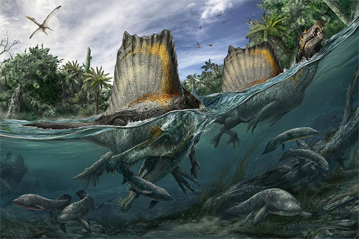Spinosaurus - loài khủng long kỳ cục: săn cá như thần mà không thể bơi lội!