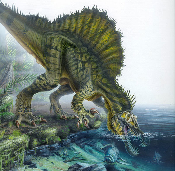 Spinosaurus - loài khủng long kỳ cục: săn cá như thần mà không thể bơi lội!