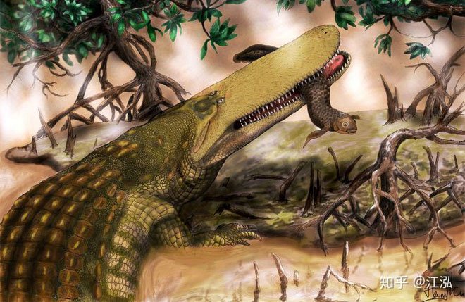 Stomatosuchus inermis: Loài cá sấu cổ đại có thể nuốt chửng cả thế giới