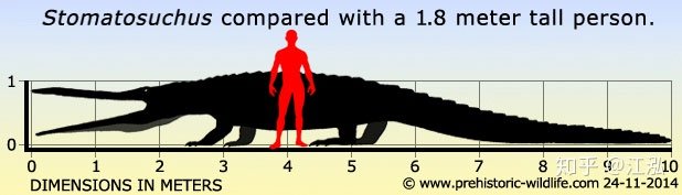 Stomatosuchus inermis: Loài cá sấu cổ đại có thể nuốt chửng cả thế giới