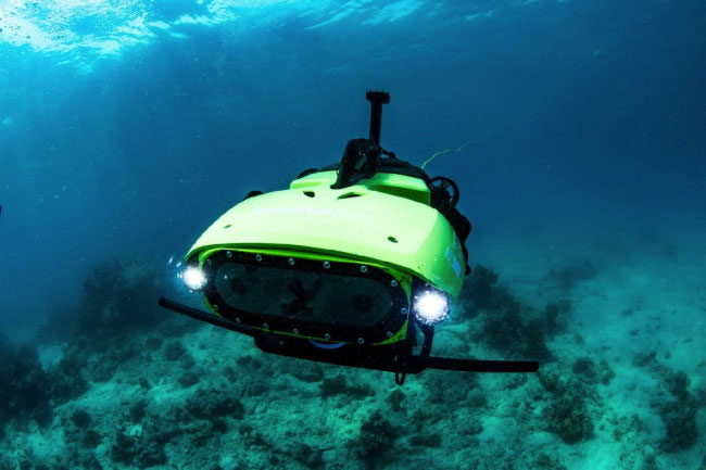 Sử dụng robot bảo vệ san hô