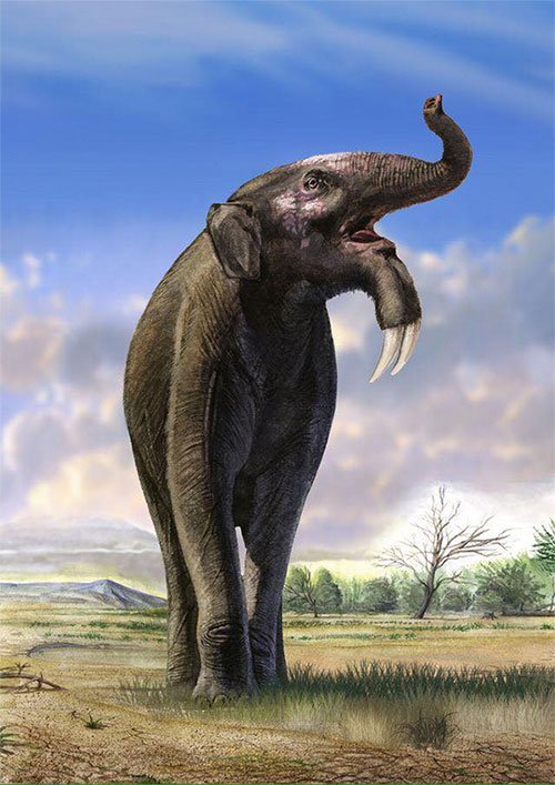 Sự thật là tổ tiên của voi và tê giác cổ đại có vẻ ngoài quái dị hơn ngày nay nhiều!