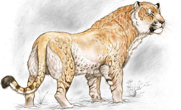 Sư tử quái vật gần nửa tấn hiện về sau 11.000 năm tuyệt chủng