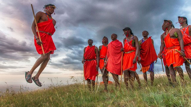 Sư tử thậm chí còn không sợ voi, vậy tại sao chúng lại sợ người Maasai?