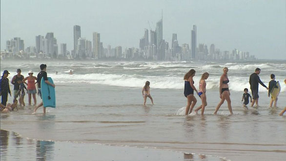 Sứa độc tấn công bờ biển Úc, hơn chục ngàn người bị đốt