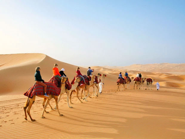 Tại sao các nước Ả Rập có vô số sa mạc nhưng vẫn nhập khẩu cát?