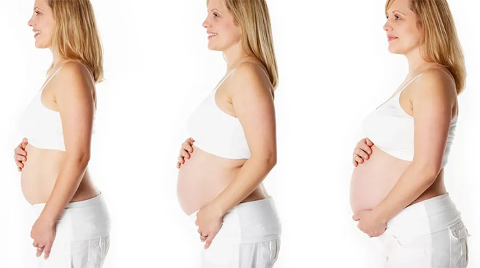 Tại sao con người không thể mang thai lâu hơn 9 tháng?